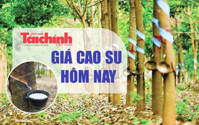 Ngày 14/4: Giá cao su thế giới đồng loạt giảm do xung đột tại Trung Đông