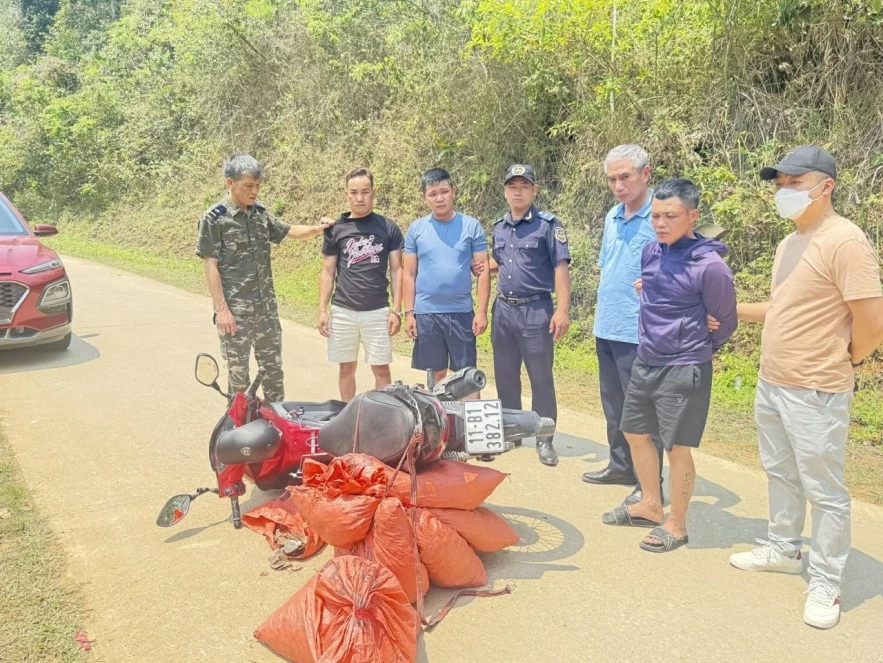 Hải quan thu giữ hơn 59,2kg vảy nghi của tê tê tại Cao Bằng