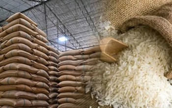 Ngày 15/4: Giá gạo xuất khẩu tăng, trong nước ít biến động