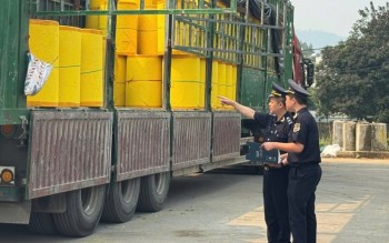 Sửa đổi 4 thủ tục hải quan, tạo thuận lợi cho doanh nghiệp