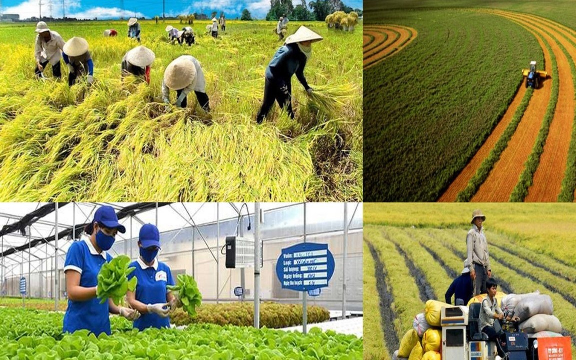 Cải cách thủ tục hành chính lĩnh vực nông nghiệp: Tiết kiệm nghìn tỷ đồng, mở rộng dư địa kinh doanh