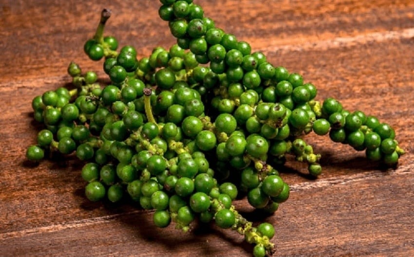 Ngày 16/4: Giá cà phê tiếp tục tăng, hồ tiêu chạm mốc 140.000 đồng/kg giatieu.jpg