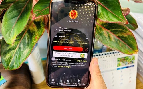 Cá nhân thuộc tổ chức thực hiện sáp nhập, giải thể tự quyết toán thuế thu nhập cá nhân cần lưu ý gì?