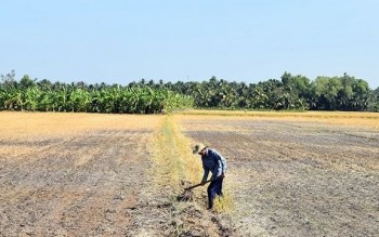 Nhiều khả năng xuất hiện El Nino rất mạnh, cảnh báo nắng nóng gia tăng