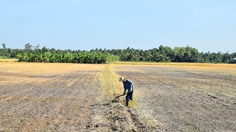 Nhiều khả năng xuất hiện El Nino rất mạnh, cảnh báo năm 2026 nắng nóng gia tăng