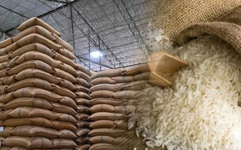 Ngày 18/4: Giá gạo xuất khẩu tăng mạnh, trong nước ổn định