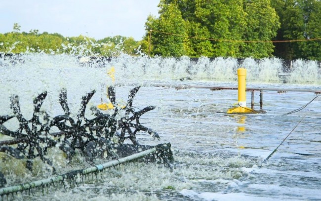 Khoa học công nghệ - chìa khóa đưa Việt Nam vào top 3 trung tâm chế biến thủy sản sâu toàn cầu