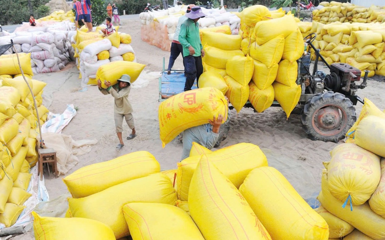 Chi phí tăng cao, tạo áp lực phục hồi giá gạo