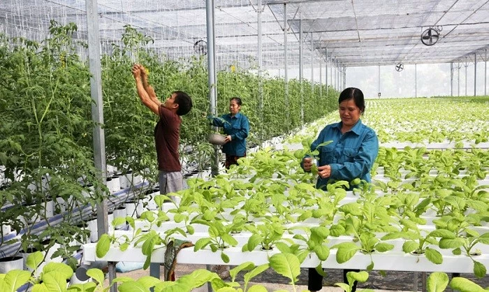 Từ cam kết Net Zero đến bài toán dòng vốn: Làm sao để chuyển đổi xanh không chỉ dừng ở mục tiêu? Từ cam kết Net Zero đến bài toán dòng vốn: Làm sao để chuyển đổi xanh không chỉ dừng ở mục tiêu?