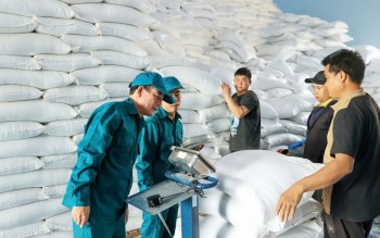 Xây dựng hệ thống kho dự trữ quốc gia đồng bộ, hiện đại