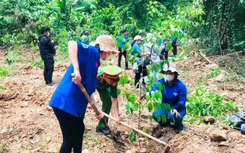 Chuyển đổi năng lượng xanh: Cơ hội vàng để Việt Nam bứt phá tăng trưởng bền vững