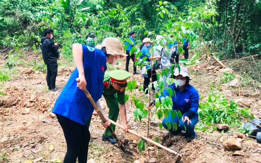 Chuyển đổi năng lượng xanh: Cơ hội vàng để Việt Nam bứt phá tăng trưởng bền vững