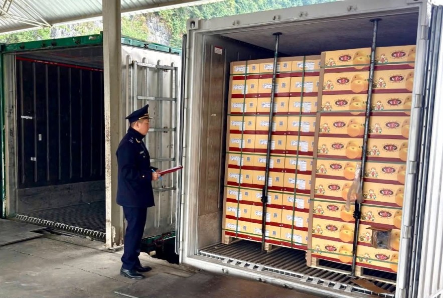 Tạo thuận lợi, Hải quan thống nhất thủ tục kho, bãi triển khai Nghị quyết 66.16/2026/NQ-CP