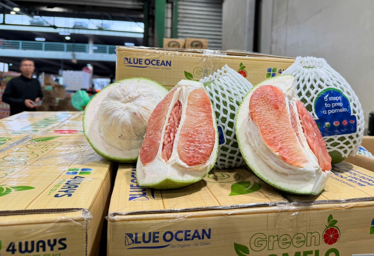 Bưởi tươi của Việt Nam đã thông quan và vào được thị trường Australia