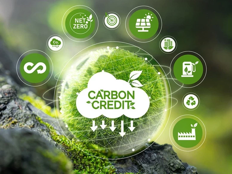 Xây dựng cơ chế giám sát minh bạch cho sàn carbon Xây dựng cơ chế giám sát minh bạch cho sàn carbon