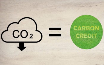 Kích hoạt động lực chuyển đổi xanh