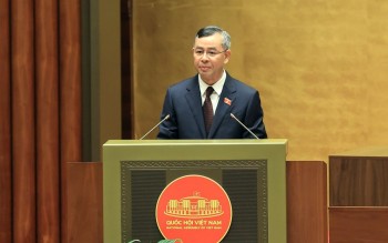 Chính phủ được quyết định ngưỡng doanh thu miễn thuế, dự kiến 1 tỷ đồng/năm