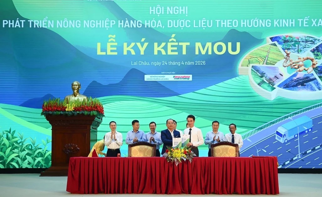 Lai Châu tìm “lối mở” cho nông nghiệp xanh, sâm và dược liệu dẫn dắt tăng trưởng