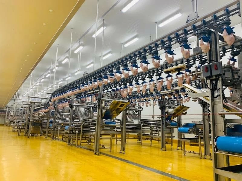 Việt Nam - Hàn Quốc: Thương mại tăng tốc, dư địa vẫn rộng mở Việt Nam - Hàn Quốc: Thương mại tăng tốc, dư địa vẫn rộng mở