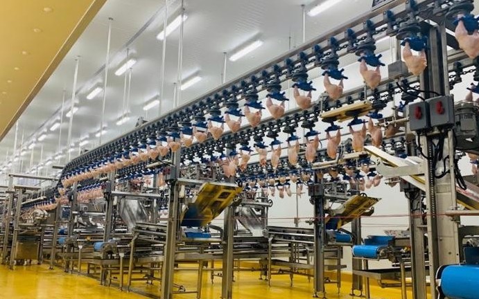 Việt Nam - Hàn Quốc: Thương mại tăng tốc, dư địa vẫn rộng mở