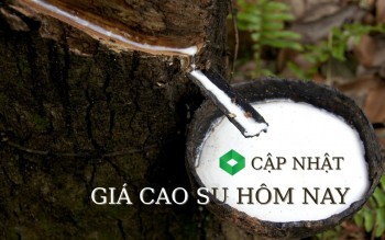 Ngày 26/4: Giá cao su trên các sàn giao dịch châu Á chịu áp lực giảm