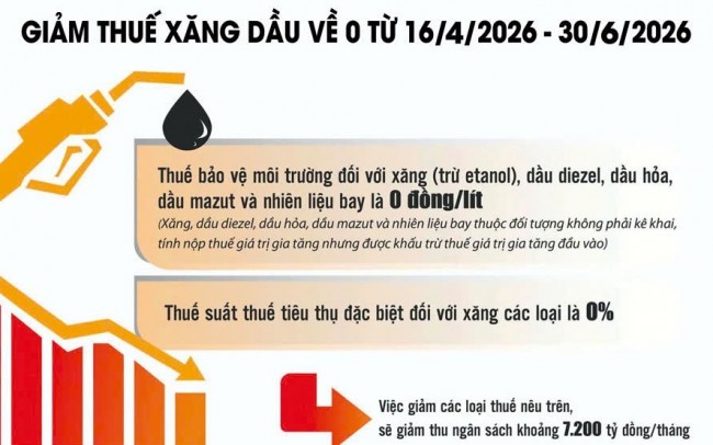 Giảm thuế xăng dầu: "Cứu sinh" kịp thời cho doanh nghiệp và kiểm soát lạm phát