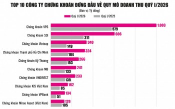 Bức tranh đa sắc kết quả kinh doanh khối công ty chứng khoán