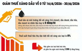 Giảm thuế xăng dầu: "Cứu sinh" kịp thời cho doanh nghiệp và kiểm soát lạm phát