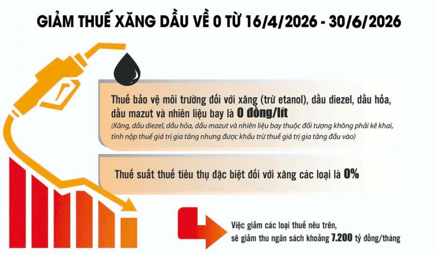 Giảm thuế xăng dầu: 