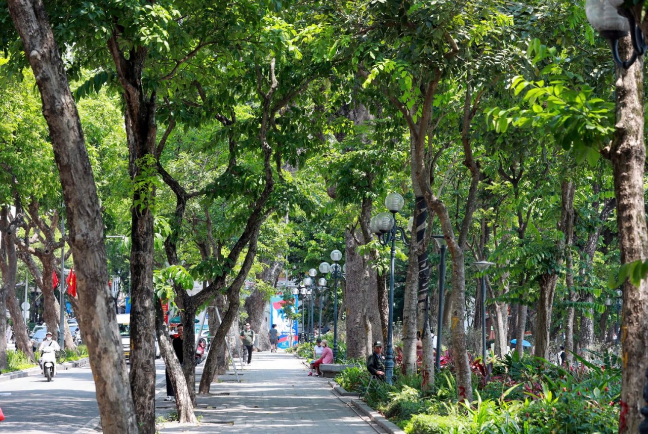 Thí điểm vùng phát thải thấp ở Vành đai 1: Bước đi “nhỏ” cho bài toán lớn của Hà Nội