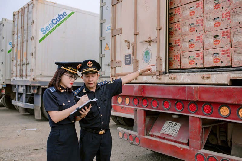 Hải quan Việt Nam: 