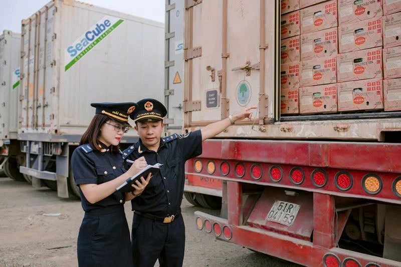 Hải quan Việt Nam: 