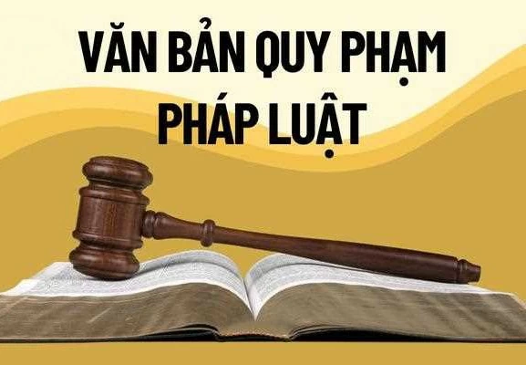 Thủ tướng chỉ đạo khẩn trương sửa đổi, bổ sung 63 văn bản quy phạm pháp luật Thủ tướng chỉ đạo khẩn trương sửa đổi, bổ sung 63 văn bản quy phạm pháp luật