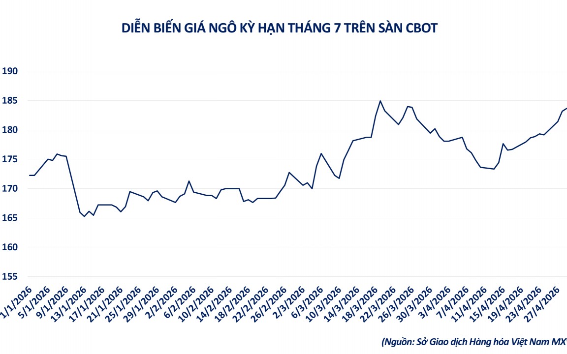 Hiệu ứng domino từ thị trường năng lượng kéo giá đường và ngô tăng cao