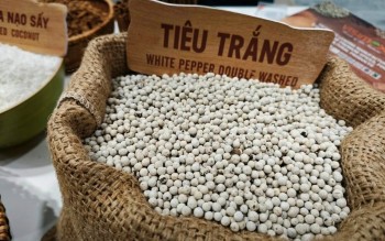 Ngày 1/5: Giá tiêu lập đỉnh mới, cà phê quay đầu giảm