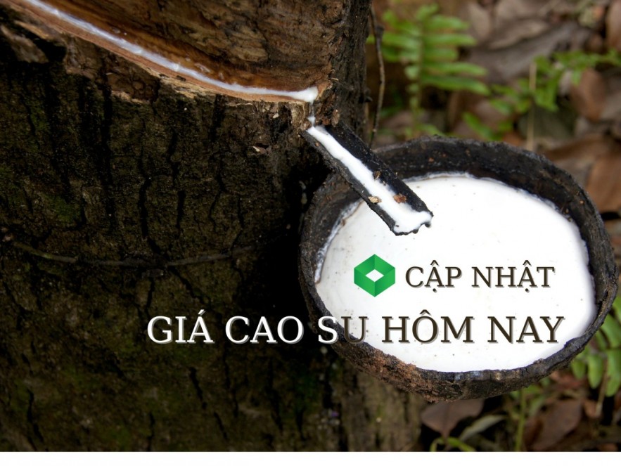 Ngày 3/5: Giá cao su thế giới tăng - giảm đan xen tại các kỳ hạn giao hàng