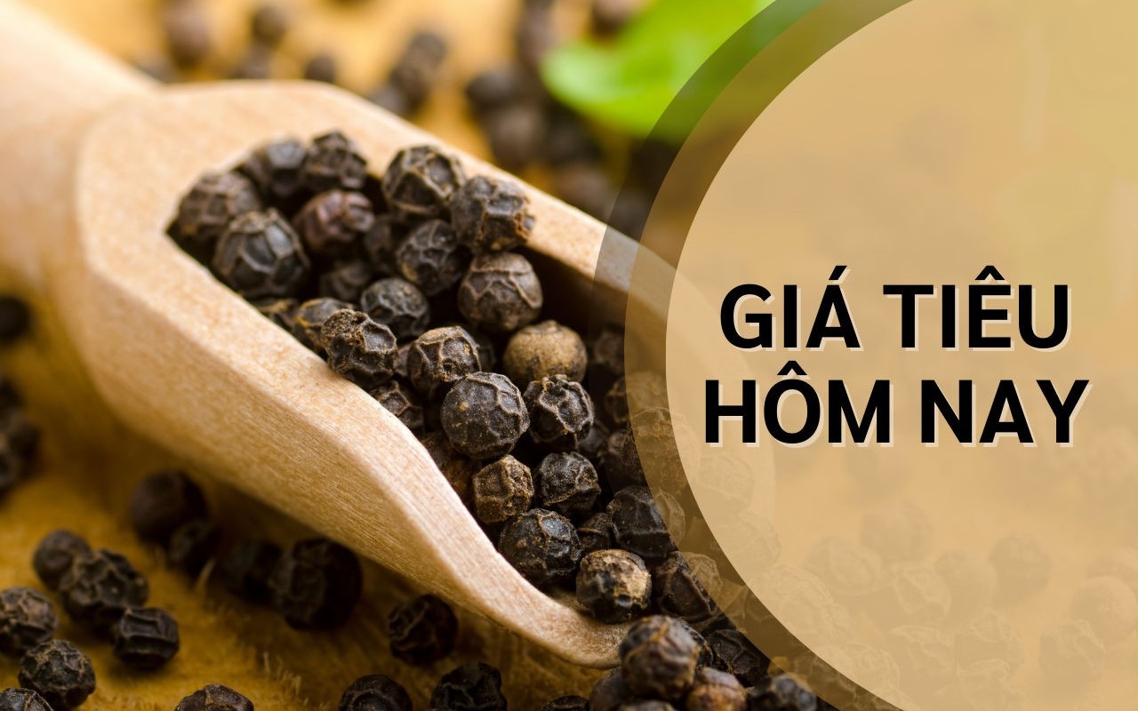 Ngày 4/5: Giá tiêu tăng mạnh, cà phê đồng loạt giảm