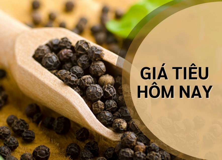 Ngày 4/5: Giá tiêu tăng mạnh, cà phê đồng loạt giảm