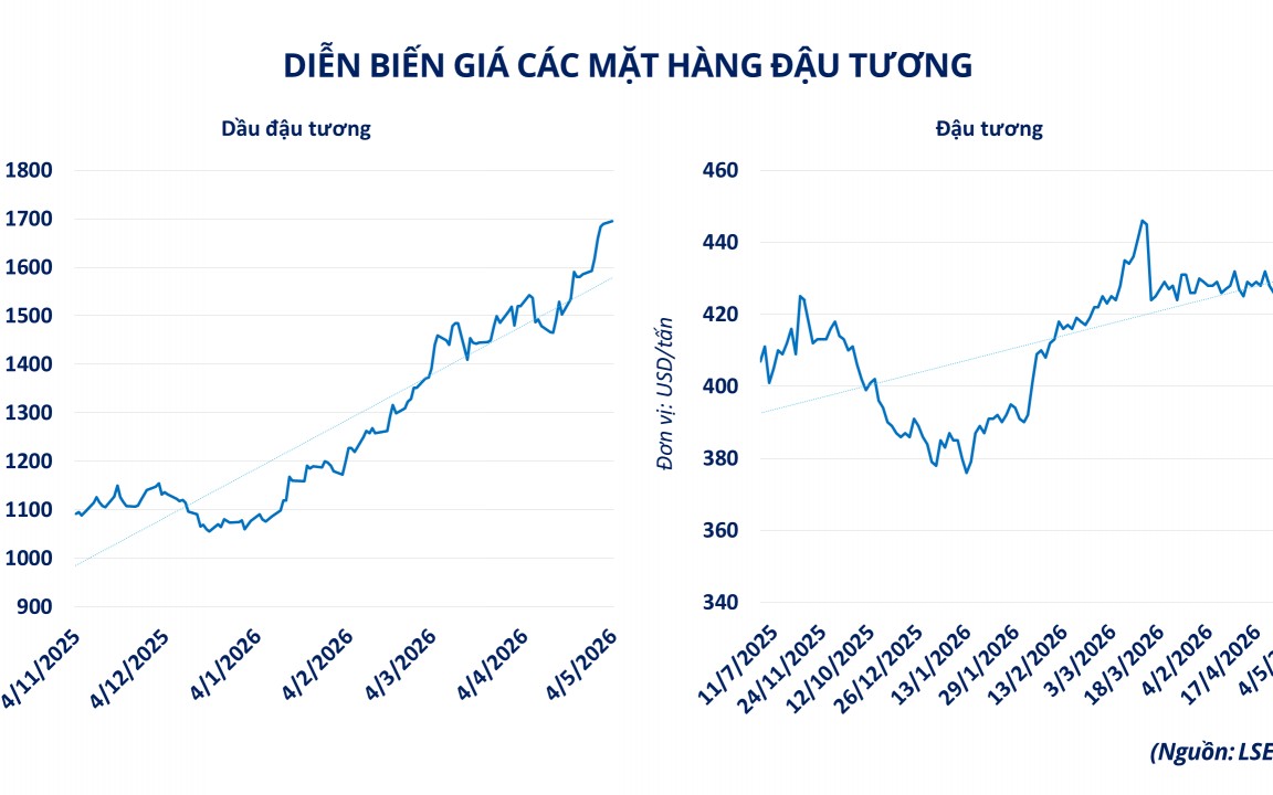 Căng thẳng Trung Đông đẩy thị trường hàng hóa vận động theo trục năng lượng