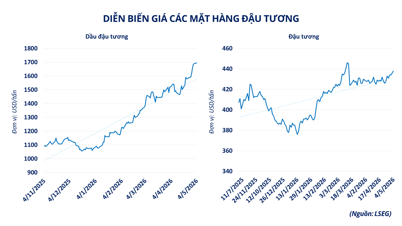 Căng thẳng Trung Đông đẩy thị trường hàng hóa vận động theo trục năng lượng