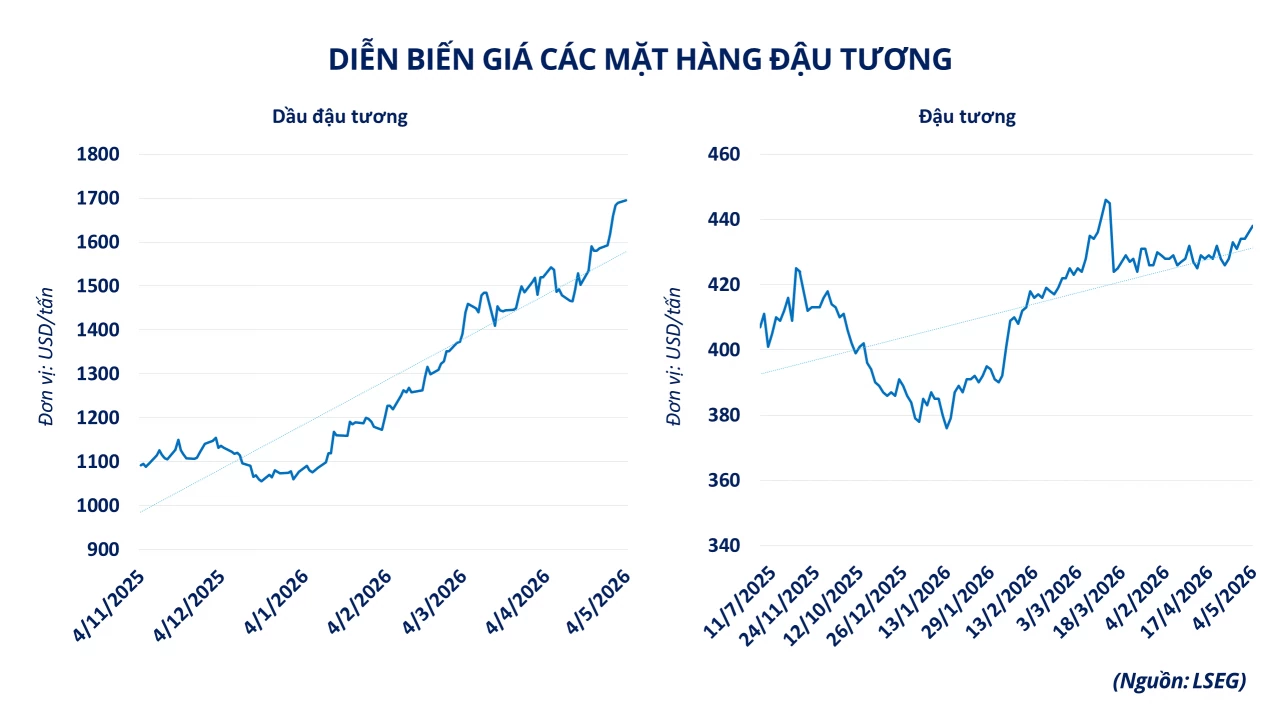 Căng thẳng Trung Đông đẩy thị trường hàng hóa vận động theo trục năng lượng