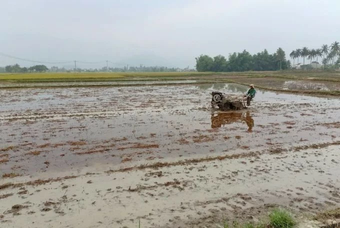 Gần 40% đất nông nghiệp bị suy thoái Gần 40% đất nông nghiệp bị suy thoái