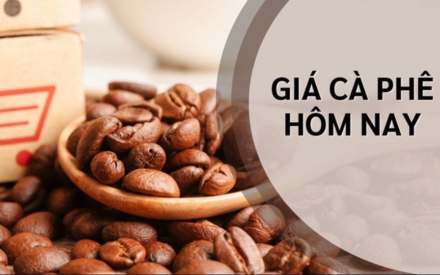 Ngày 6/5: Giá cà phê giằng co trong biên độ hẹp, hồ tiêu neo cao ở mức 144.000 đồng/kg