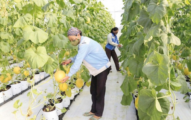 Giải ngân Chương trình mục tiêu quốc gia: Không để dòng vốn “đứng ngoài” mục tiêu tăng trưởng