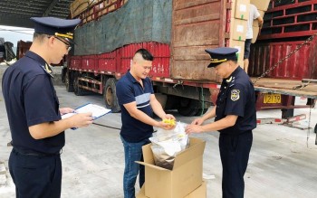 Hoàn thiện chính sách quản lý thuế xuất nhập khẩu: Tạo thuận lợi cho doanh nghiệp, thúc đẩy cải cách