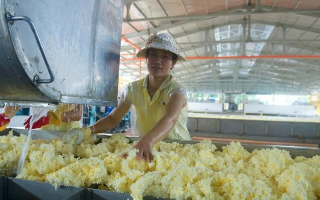 Doanh nghiệp cao su khởi sắc ngay quý đầu năm