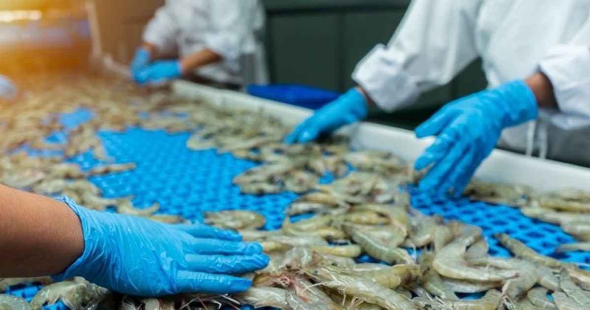 Kinh tế Halal là “chìa khóa” mở rộng hợp tác Việt Nam - Ấn Độ