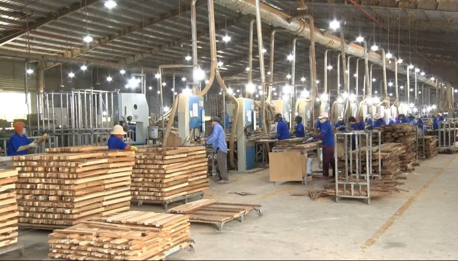 Xây dựng dữ liệu vùng trồng: “Tấm vé thông hành” để nông, lâm sản Việt vào EU