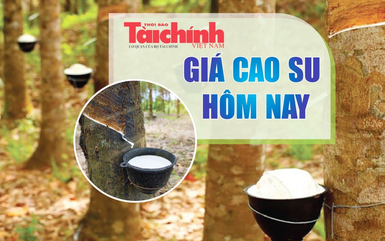 Ngày 9/5: Giá cao su thế giới duy trì đà tăng
