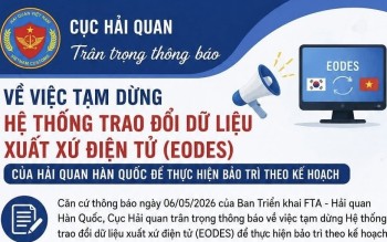 Hải quan lưu ý doanh nghiệp, 3 đợt tạm dừng trao đổi dữ liệu xuất xứ Việt Nam - Hàn Quốc